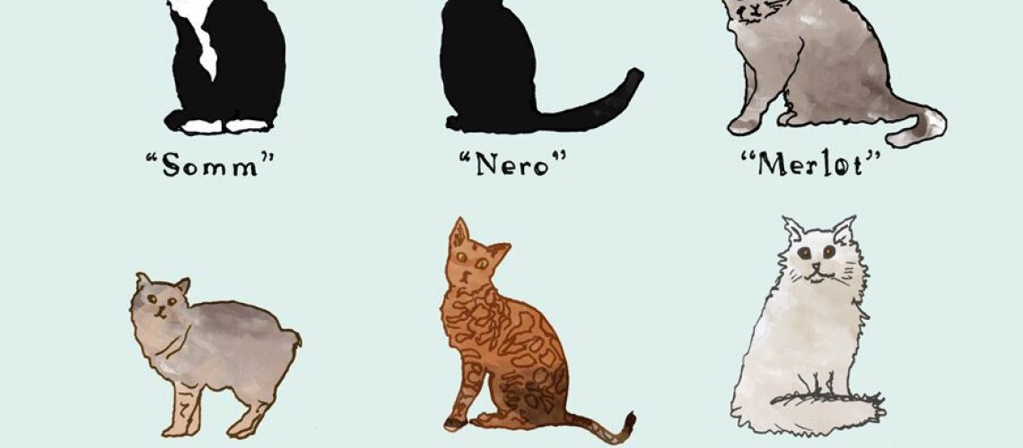 Alcoholic Names for Cats